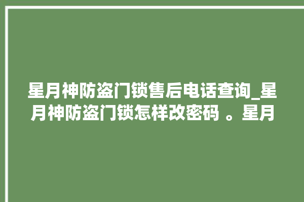 星月神防盗门锁售后电话查询_星月神防盗门锁怎样改密码 。星月