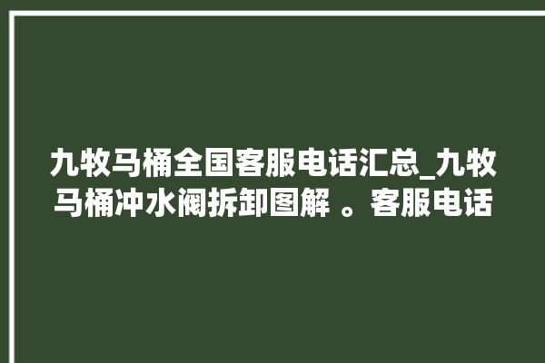 九牧马桶全国客服电话汇总_九牧马桶冲水阀拆卸图解 。客服电话