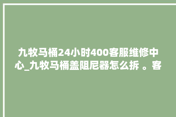 九牧马桶24小时400客服维修中心_九牧马桶盖阻尼器怎么拆 。客服