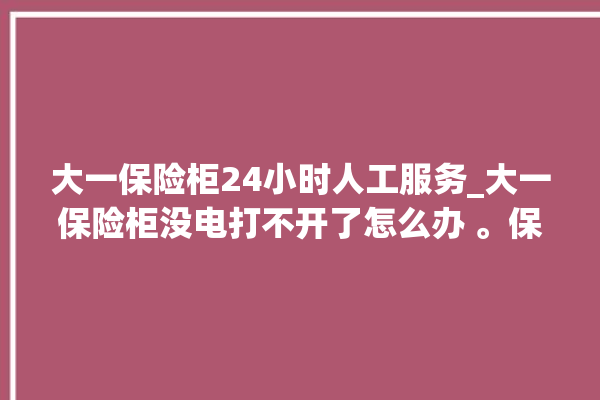 大一保险柜24小时人工服务_大一保险柜没电打不开了怎么办 。保险柜