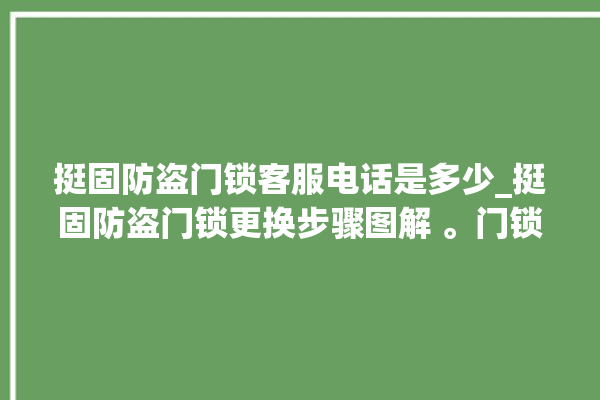 挺固防盗门锁客服电话是多少_挺固防盗门锁更换步骤图解 。门锁