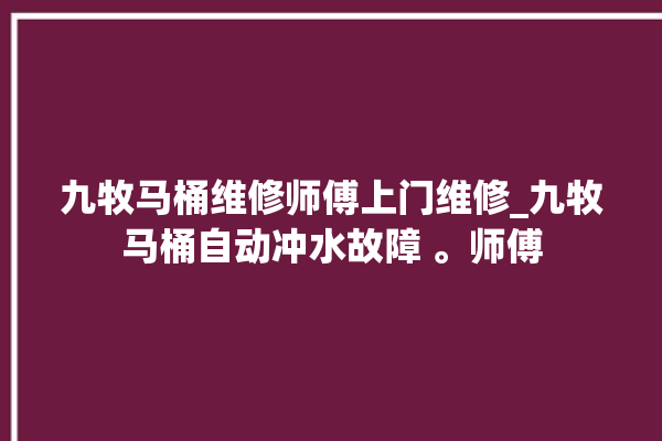 九牧马桶维修师傅上门维修_九牧马桶自动冲水故障 。师傅