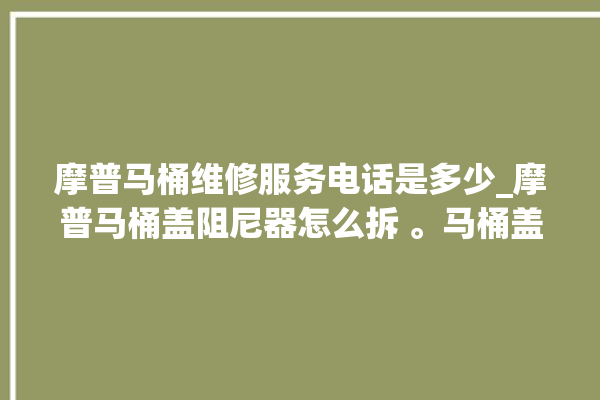 摩普马桶维修服务电话是多少_摩普马桶盖阻尼器怎么拆 。马桶盖