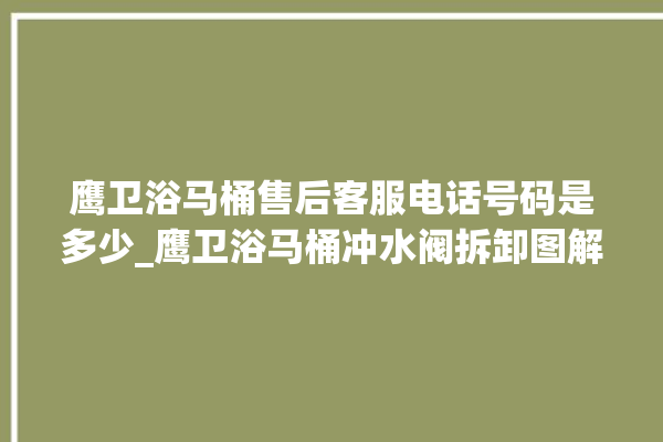 鹰卫浴马桶售后客服电话号码是多少_鹰卫浴马桶冲水阀拆卸图解 。马桶