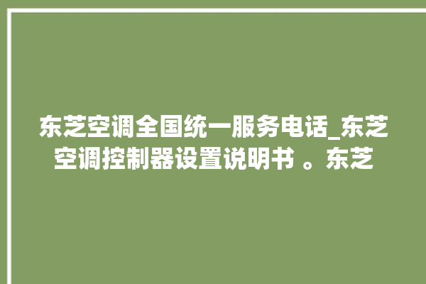 东芝空调全国统一服务电话_东芝空调控制器设置说明书 。东芝