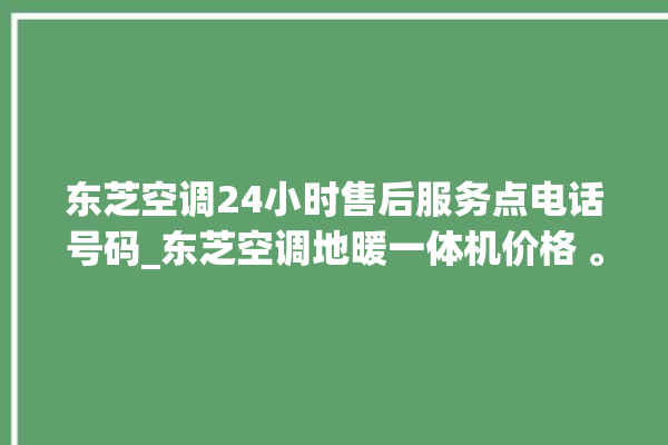 东芝空调24小时售后服务点电话号码_东芝空调地暖一体机价格 。东芝