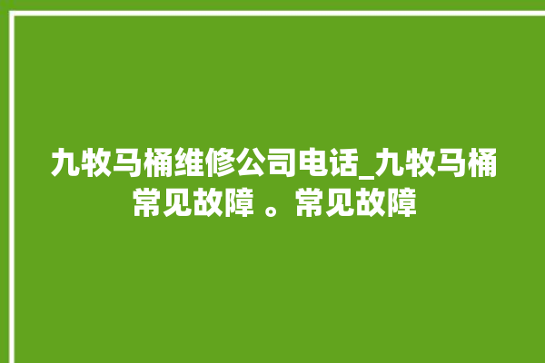 九牧马桶维修公司电话_九牧马桶常见故障 。常见故障