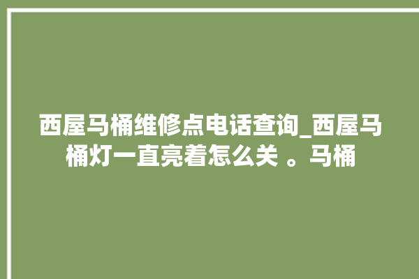 西屋马桶维修点电话查询_西屋马桶灯一直亮着怎么关 。马桶