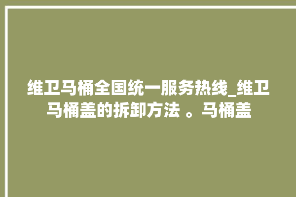 维卫马桶全国统一服务热线_维卫马桶盖的拆卸方法 。马桶盖