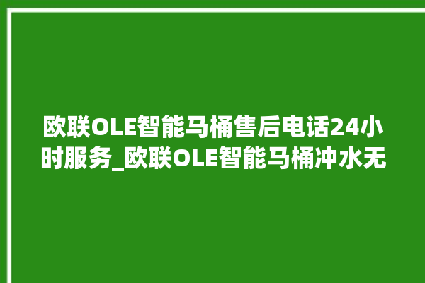 欧联OLE智能马桶售后电话24小时服务_欧联OLE智能马桶冲水无力 。马桶