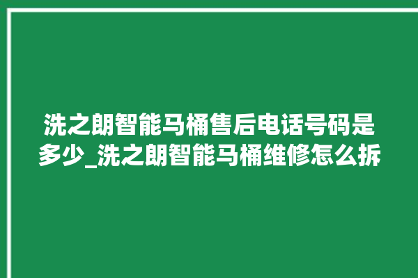 洗之朗智能马桶售后电话号码是多少_洗之朗智能马桶维修怎么拆卸 。马桶