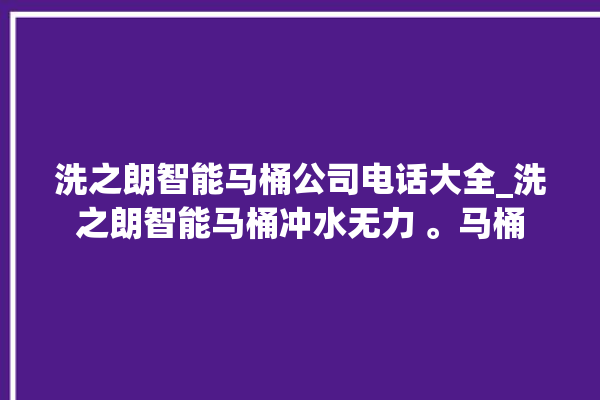 洗之朗智能马桶公司电话大全_洗之朗智能马桶冲水无力 。马桶