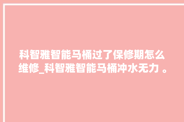 科智雅智能马桶过了保修期怎么维修_科智雅智能马桶冲水无力 。马桶