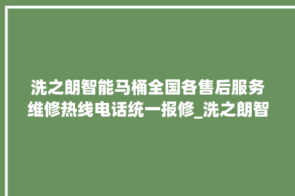 洗之朗智能马桶全国各售后服务维修热线电话统一报修_洗之朗智能马桶冲水无力 。马桶