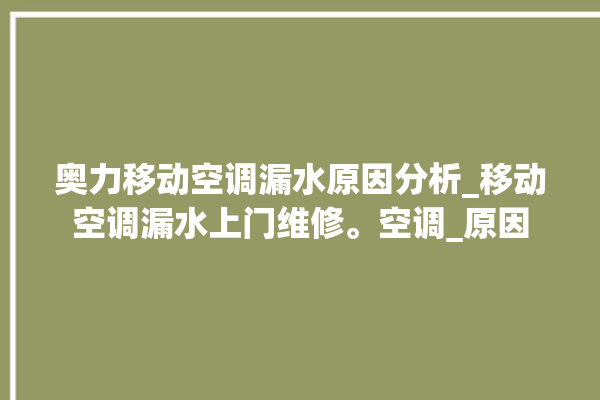 奥力移动空调漏水原因分析_移动空调漏水上门维修。空调_原因