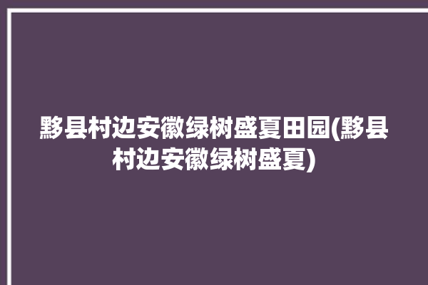 黟县村边安徽绿树盛夏田园(黟县村边安徽绿树盛夏)