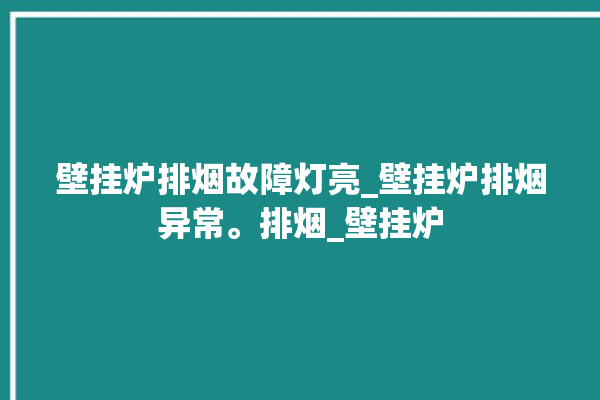 壁挂炉排烟故障灯亮_壁挂炉排烟异常。排烟_壁挂炉