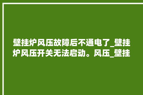 壁挂炉风压故障后不通电了_壁挂炉风压开关无法启动。风压_壁挂炉