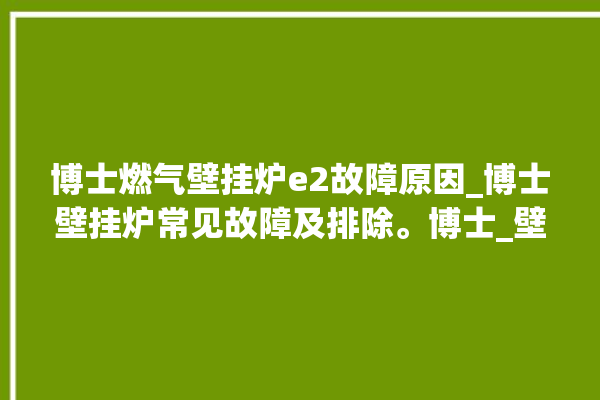 博士燃气壁挂炉e2故障原因_博士壁挂炉常见故障及排除。博士_壁挂炉