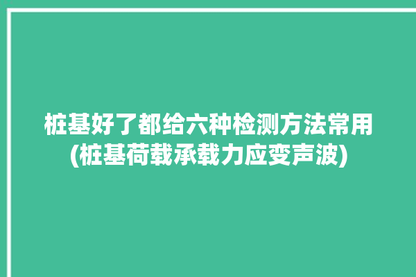 桩基好了都给六种检测方法常用(桩基荷载承载力应变声波)