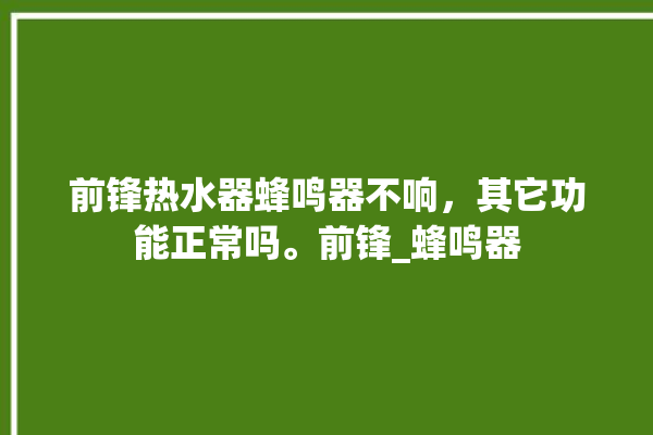 前锋热水器蜂鸣器不响，其它功能正常吗。前锋_蜂鸣器