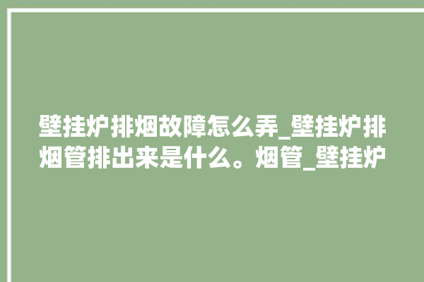 壁挂炉排烟故障怎么弄_壁挂炉排烟管排出来是什么。烟管_壁挂炉