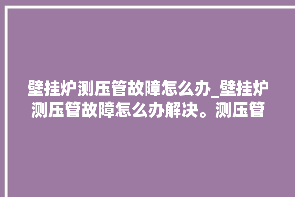 壁挂炉测压管故障怎么办_壁挂炉测压管故障怎么办解决。测压管_故障