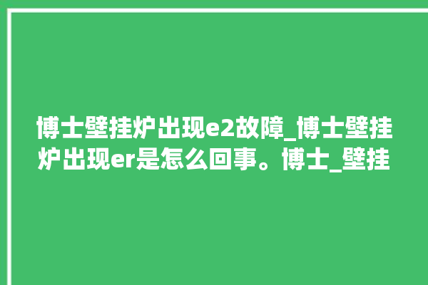 博士壁挂炉出现e2故障_博士壁挂炉出现er是怎么回事。博士_壁挂炉