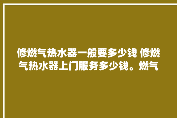 修燃气热水器一般要多少钱 修燃气热水器上门服务多少钱。燃气热水器_要多