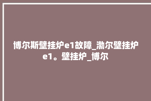 博尔斯壁挂炉e1故障_渤尔壁挂炉e1。壁挂炉_博尔