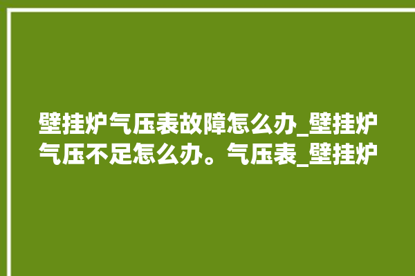 壁挂炉气压表故障怎么办_壁挂炉气压不足怎么办。气压表_壁挂炉