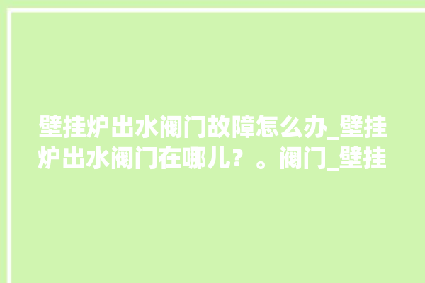 壁挂炉出水阀门故障怎么办_壁挂炉出水阀门在哪儿？。阀门_壁挂炉