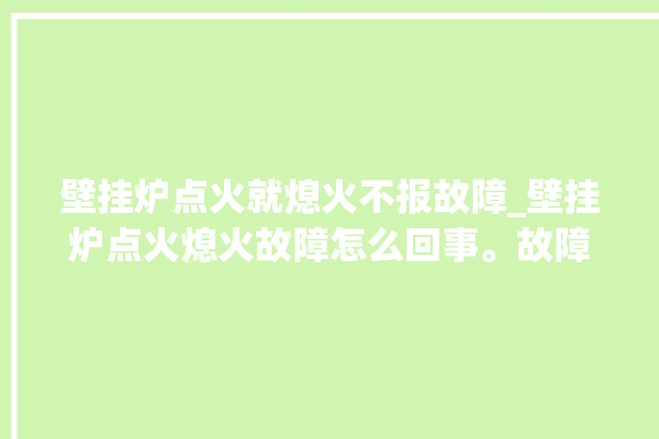 壁挂炉点火就熄火不报故障_壁挂炉点火熄火故障怎么回事。故障_壁挂炉