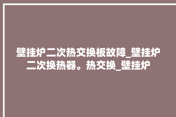 壁挂炉二次热交换板故障_壁挂炉二次换热器。热交换_壁挂炉