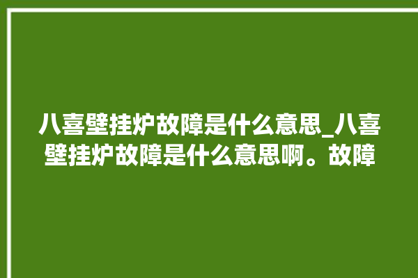 八喜壁挂炉故障是什么意思_八喜壁挂炉故障是什么意思啊。故障_壁挂炉