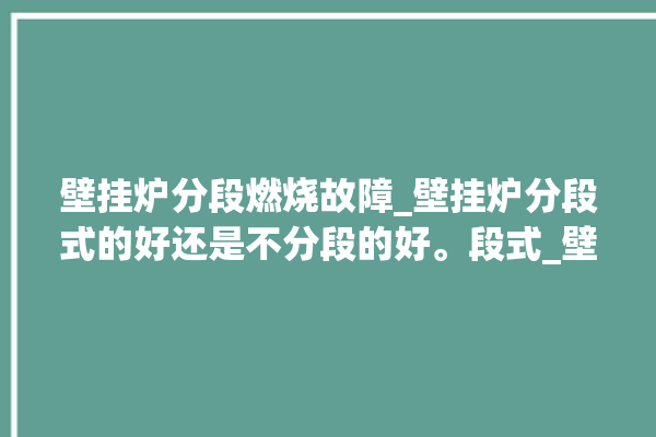 壁挂炉分段燃烧故障_壁挂炉分段式的好还是不分段的好。段式_壁挂炉