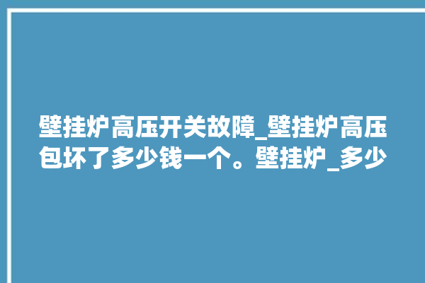 壁挂炉高压开关故障_壁挂炉高压包坏了多少钱一个。壁挂炉_多少钱