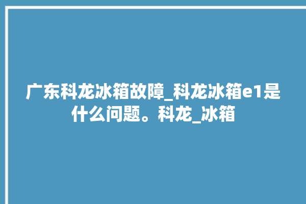 广东科龙冰箱故障_科龙冰箱e1是什么问题。科龙_冰箱