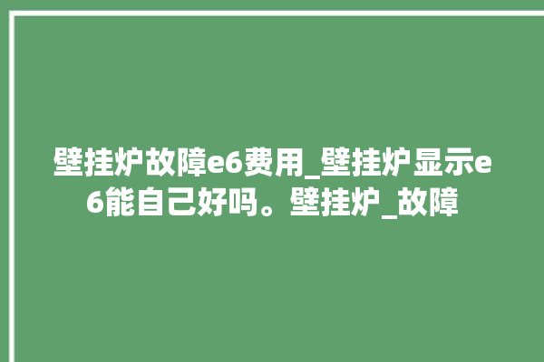 壁挂炉故障e6费用_壁挂炉显示e6能自己好吗。壁挂炉_故障