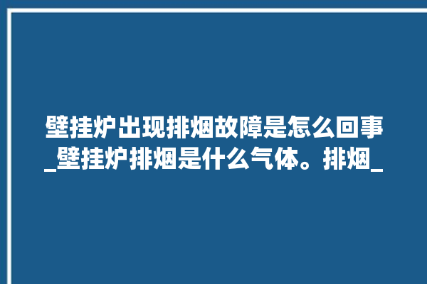 壁挂炉出现排烟故障是怎么回事_壁挂炉排烟是什么气体。排烟_壁挂炉