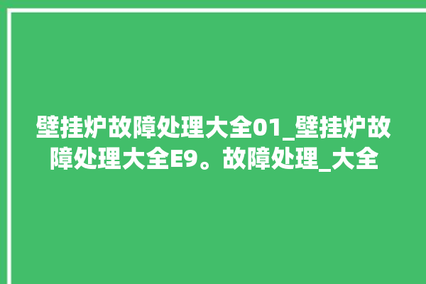 壁挂炉故障处理大全01_壁挂炉故障处理大全E9。故障处理_大全