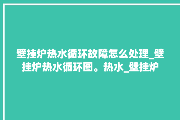 壁挂炉热水循环故障怎么处理_壁挂炉热水循环图。热水_壁挂炉