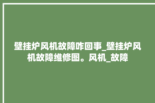 壁挂炉风机故障咋回事_壁挂炉风机故障维修图。风机_故障