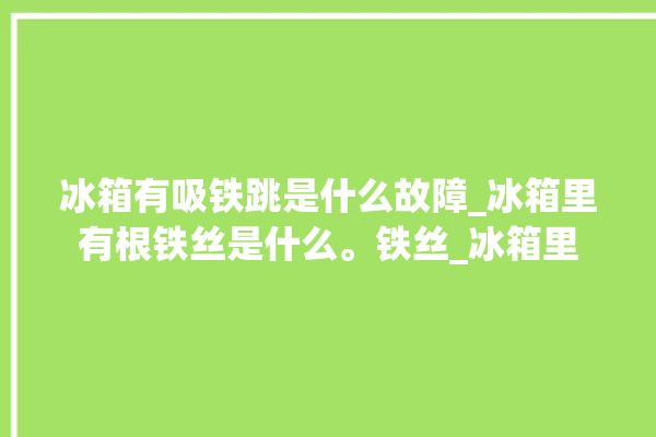 冰箱有吸铁跳是什么故障_冰箱里有根铁丝是什么。铁丝_冰箱里