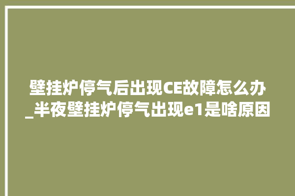 壁挂炉停气后出现CE故障怎么办_半夜壁挂炉停气出现e1是啥原因。壁挂炉_半夜