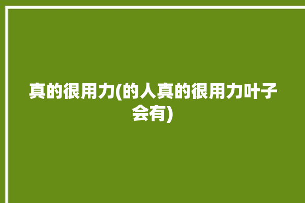 真的很用力(的人真的很用力叶子会有)