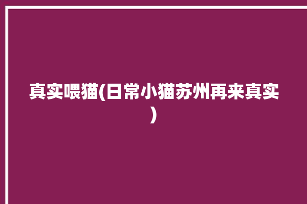 真实喂猫(日常小猫苏州再来真实)