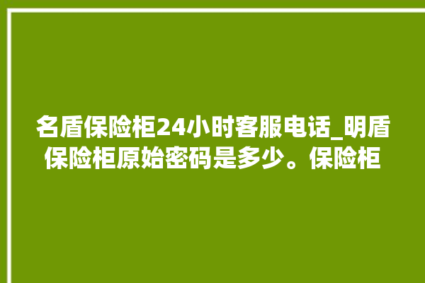 名盾保险柜24小时客服电话_明盾保险柜原始密码是多少。保险柜_客服电话