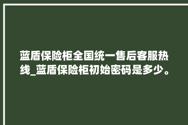 蓝盾保险柜全国统一售后客服热线_蓝盾保险柜初始密码是多少。保险柜_蓝盾