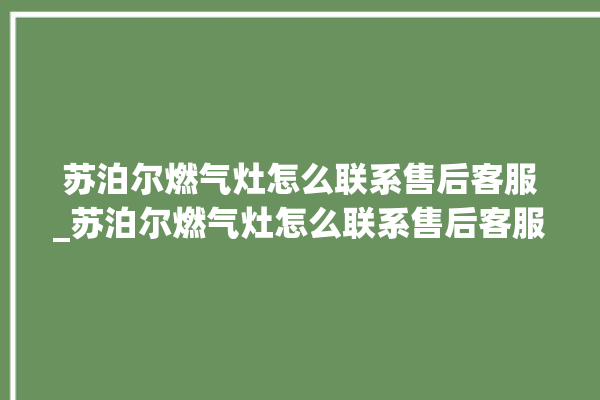 苏泊尔燃气灶怎么联系售后客服_苏泊尔燃气灶怎么联系售后客服维修。客服_燃气灶